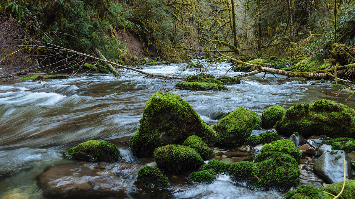 Elkhorn Creek