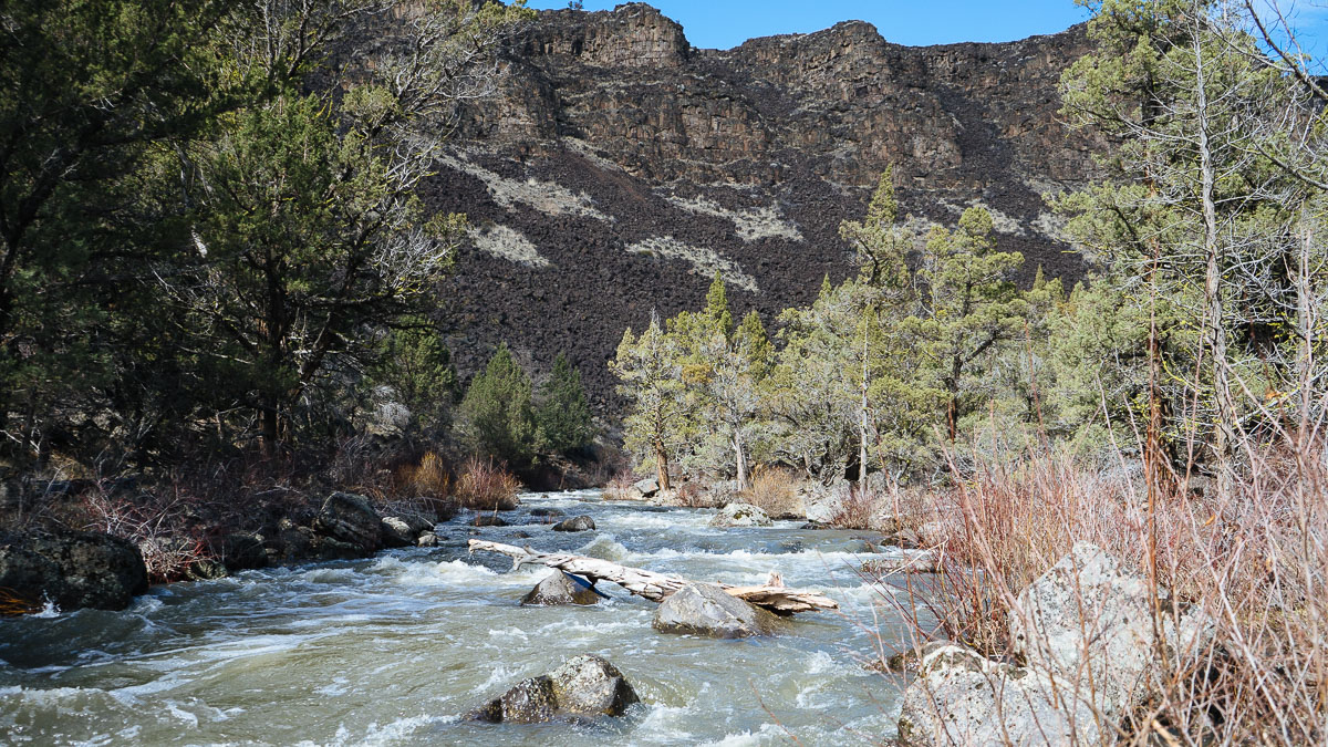 North Fork of the Owyhee River